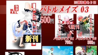 RT @HALType0: 今週末の延岡パラレル☆スペースのお品書きです！

【